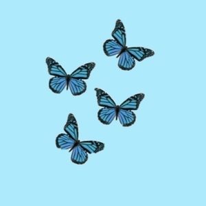 Meet your Posher, Alison